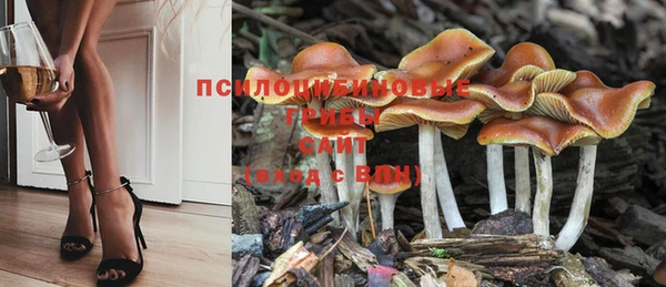 мяу мяу мука Баксан
