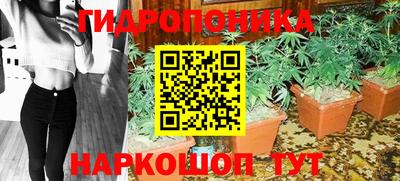 сатива Кумертау