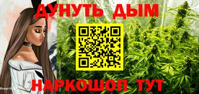 дмт Краснознаменск